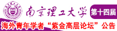 操逼视频网站黄片南京理工大学第十四届海外青年学者紫金论坛诚邀海内外英才！